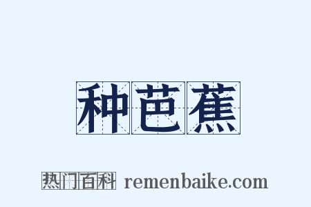 种芭蕉是什么意思的图片